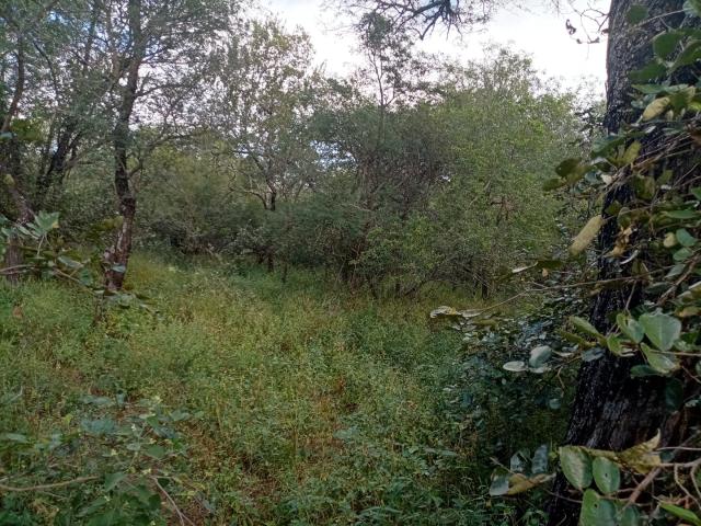 Land for sale in Ehlanzeni, Mpumalanga