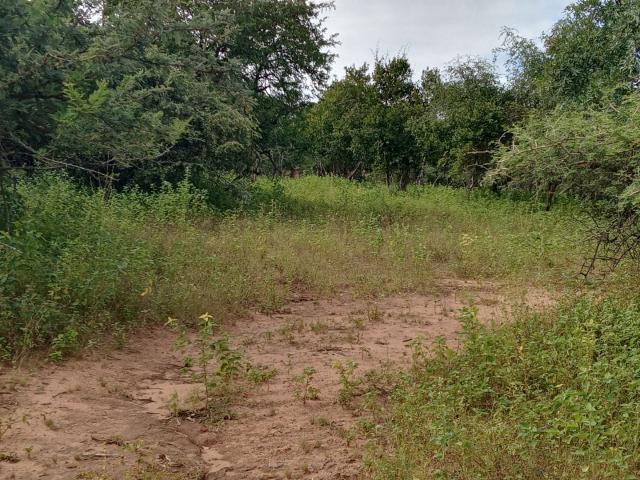 Land for sale in Ehlanzeni, Mpumalanga