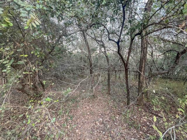 Land for sale in Ehlanzeni, Mpumalanga