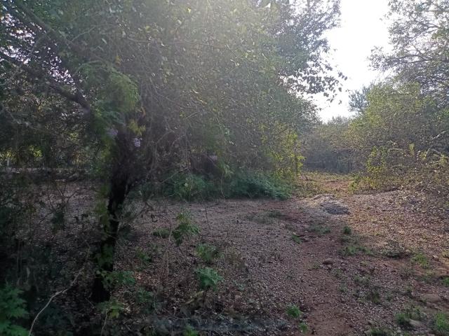 Land for sale in Ehlanzeni, Mpumalanga