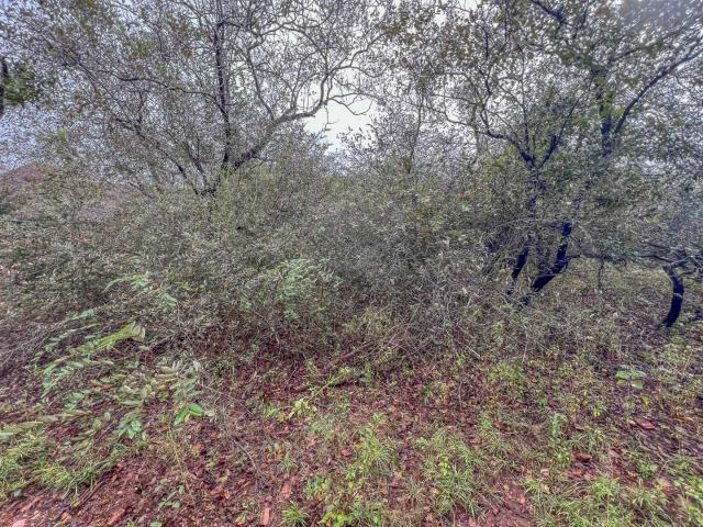 Land for sale in Ehlanzeni, Mpumalanga