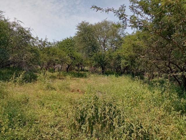 Land for sale in Ehlanzeni, Mpumalanga