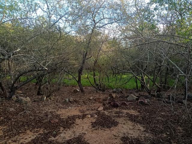 Land for sale in Ehlanzeni, Mpumalanga