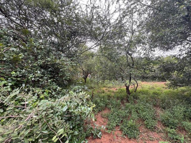 Land for sale in Ehlanzeni, Mpumalanga