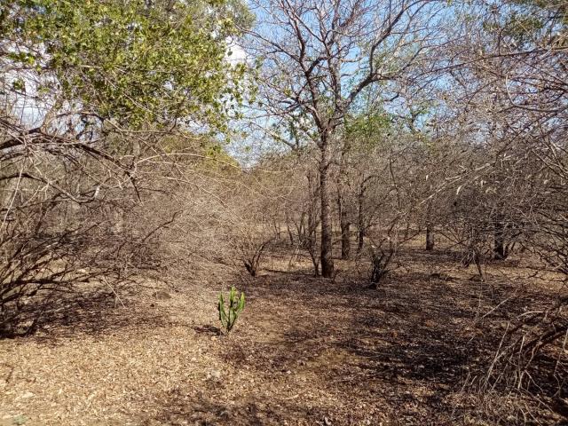 Land for sale in Ehlanzeni, Mpumalanga