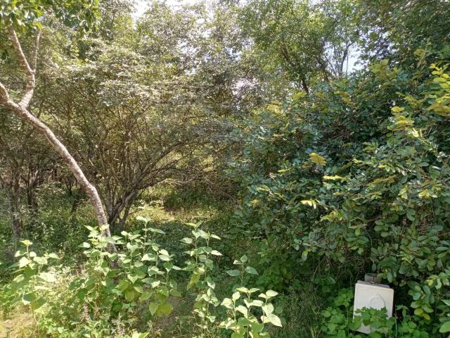 Land for sale in Ehlanzeni, Mpumalanga
