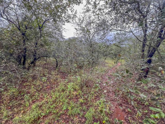 Land for sale in Ehlanzeni, Mpumalanga