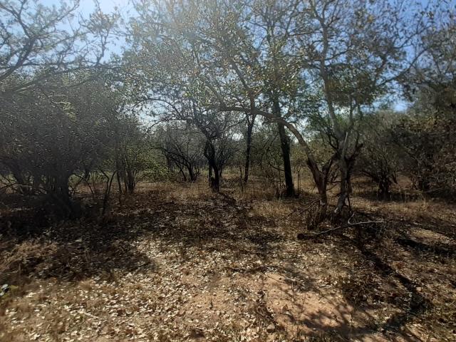 Land for sale in Ehlanzeni, Mpumalanga