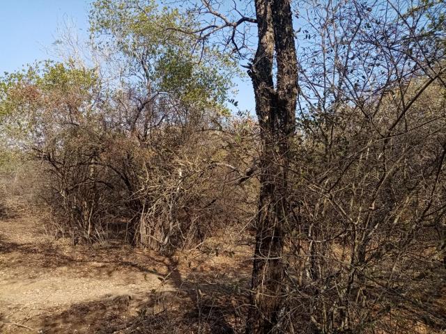 Land for sale in Ehlanzeni, Mpumalanga