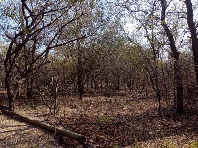 Land for sale in Ehlanzeni, Mpumalanga