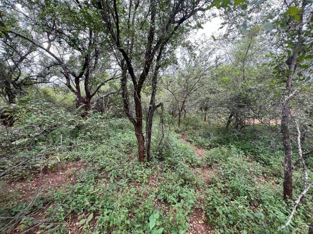 Land for sale in Ehlanzeni, Mpumalanga
