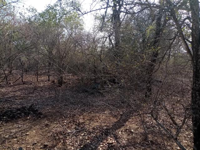 Land for sale in Ehlanzeni, Mpumalanga