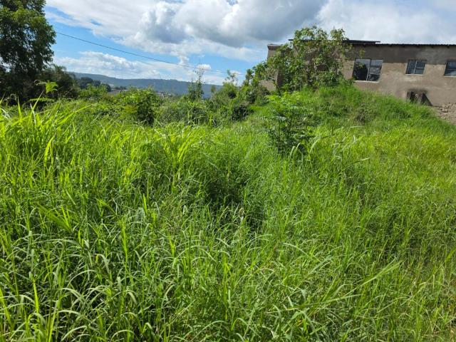 Land for sale in Mopani, Limpopo