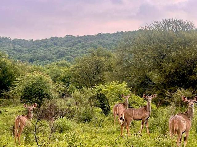 Land for sale in Umgungundlovu, Kwazulu-natal