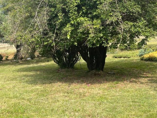 Land for sale in Olievenhoutbos, Gauteng