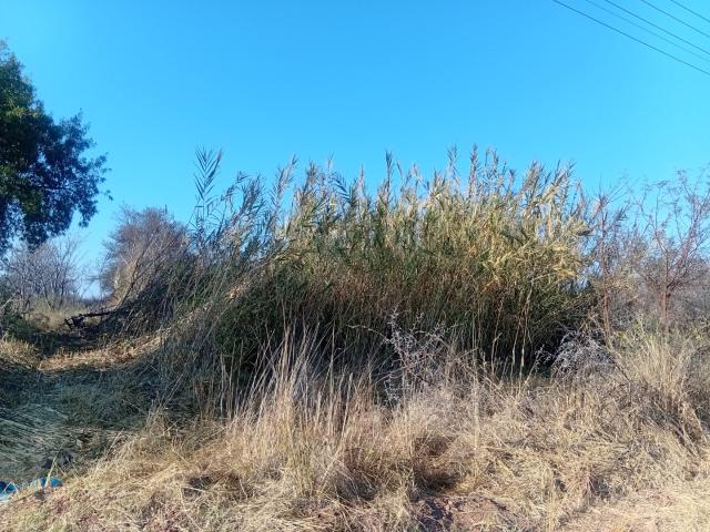 Land for sale in Nylstroom, Limpopo