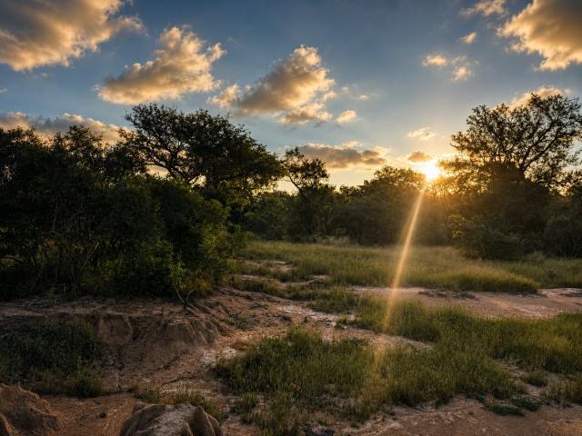 Land for sale in Mopani, Limpopo