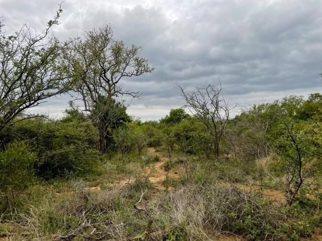 Land for sale in Mopani, Limpopo