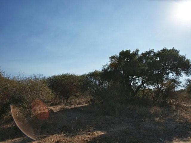 Land for sale in Mopani, Limpopo