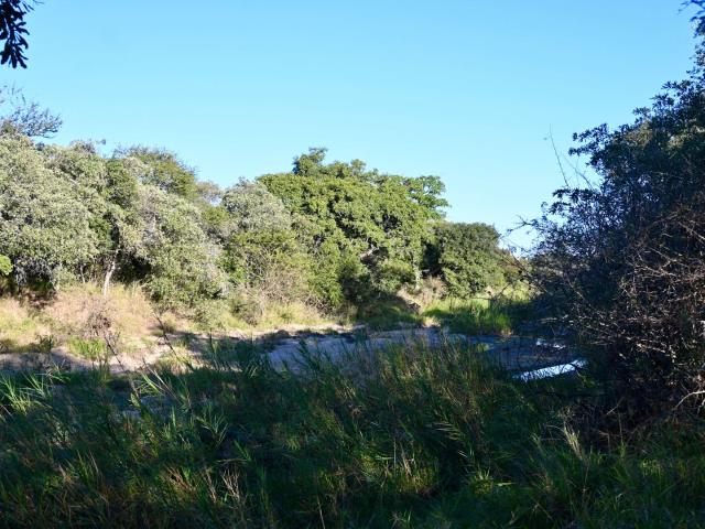 Land for sale in Mopani, Limpopo
