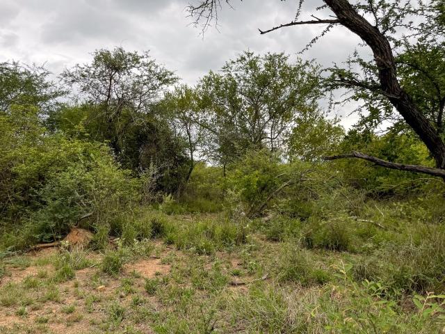 Land for sale in Mopani, Limpopo