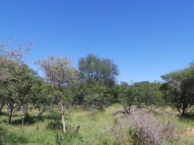 Land for sale in Mopani, Limpopo