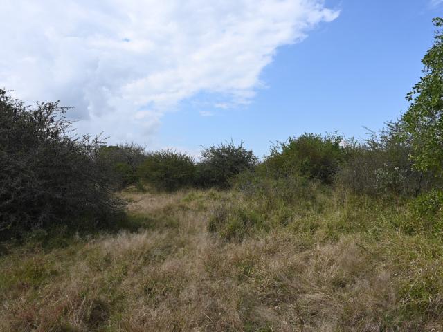 Land for sale in Mopani, Limpopo