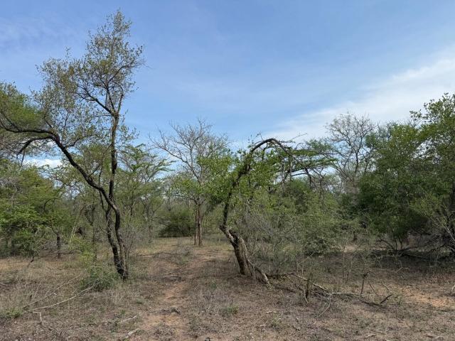 Land for sale in Mopani, Limpopo