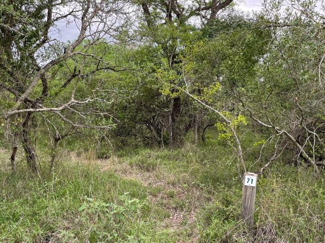 Land for sale in Mopani, Limpopo