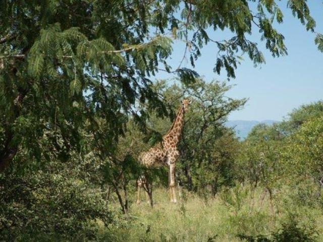 Land for sale in Mopani, Limpopo