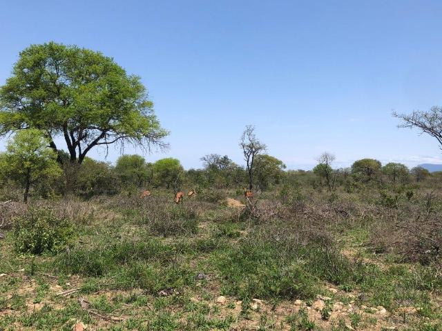Land for sale in Mopani, Limpopo