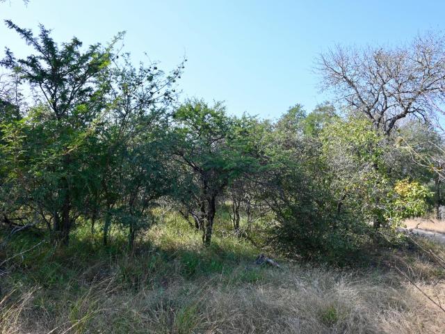 Land for sale in Mopani, Limpopo