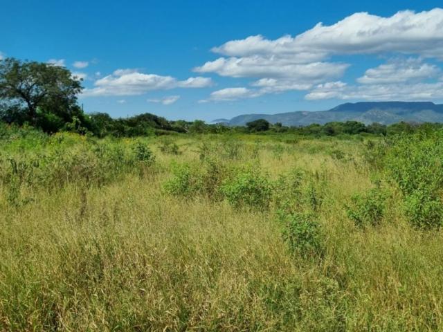 Land for sale in Potgietersrus, Limpopo