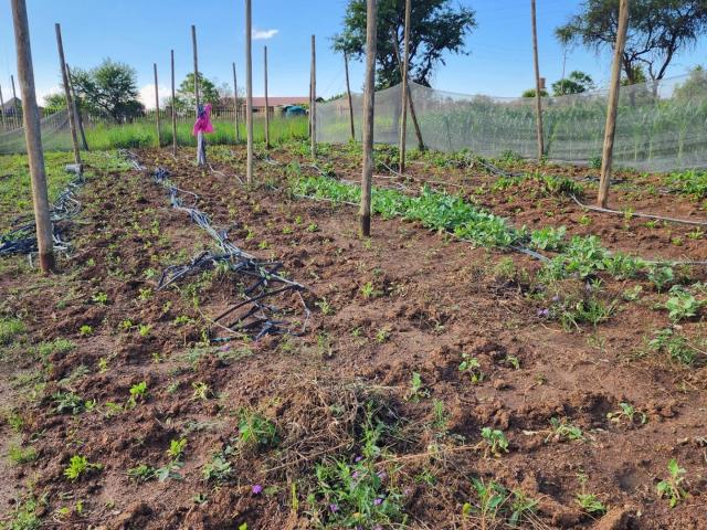 Land for sale in Gauteng