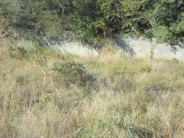 Land for sale in Greater Tubatse Municipality, Limpopo