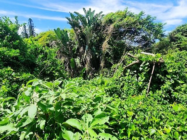 Land for sale in Ugu District Municipality, Kwazulu-natal