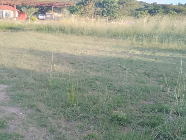 Land for sale in Mopani, Limpopo