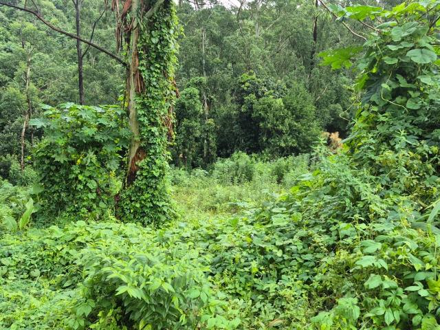 Land for sale in Queensburgh