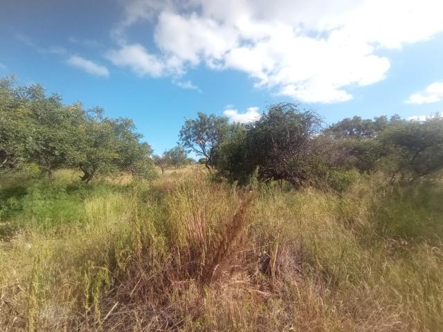 Land for sale in Potgietersrus, Limpopo