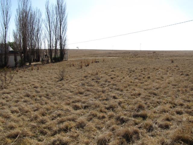 Land for sale in Oranjeville, Free State