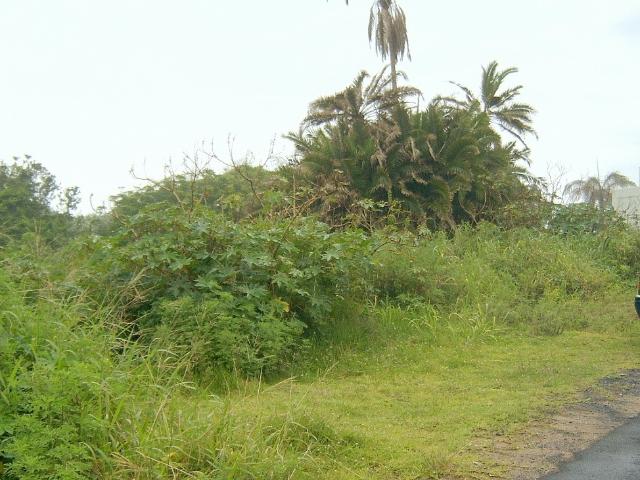 Land for sale in Ugu District Municipality, Kwazulu-natal