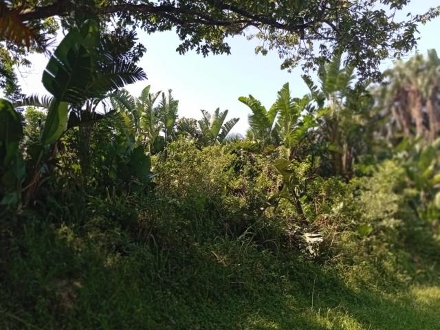 Land for sale in Ugu District Municipality, Kwazulu-natal