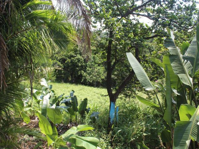 Land for sale in Ugu District Municipality, Kwazulu-natal