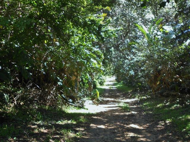 Land for sale in Ugu District Municipality, Kwazulu-natal