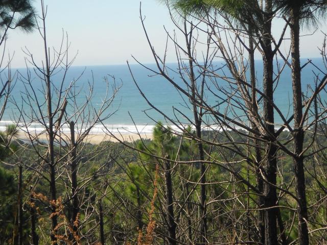 Land for sale in Ugu District Municipality, Kwazulu-natal