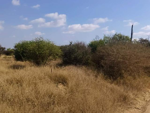 Land for sale in Seshego, Limpopo
