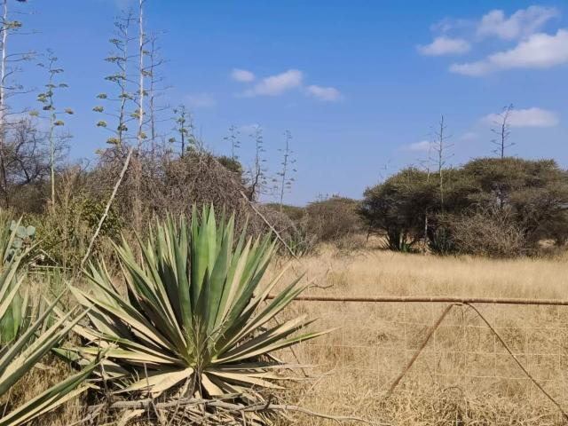 Land for sale in Seshego, Limpopo