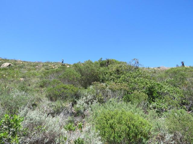 Land for sale in Port Elizabeth, Eastern Cape