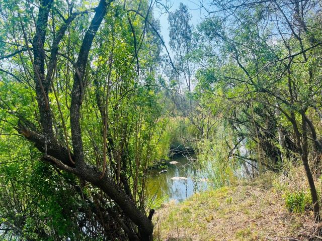 Land for sale in Koppies, Free State