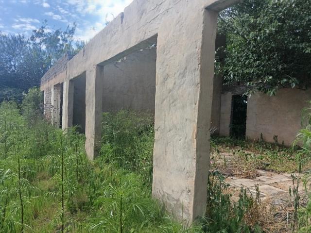 Land for sale in Koppies, Free State